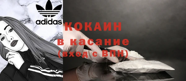 ПСИЛОЦИБИНОВЫЕ ГРИБЫ Богданович