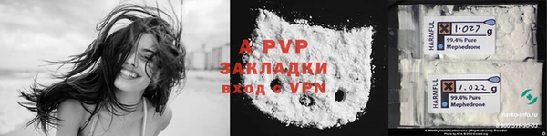 ПСИЛОЦИБИНОВЫЕ ГРИБЫ Богданович