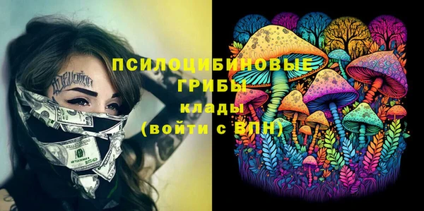 ПСИЛОЦИБИНОВЫЕ ГРИБЫ Богданович