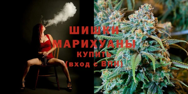 ПСИЛОЦИБИНОВЫЕ ГРИБЫ Богданович