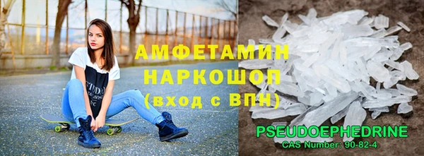 ПСИЛОЦИБИНОВЫЕ ГРИБЫ Богданович